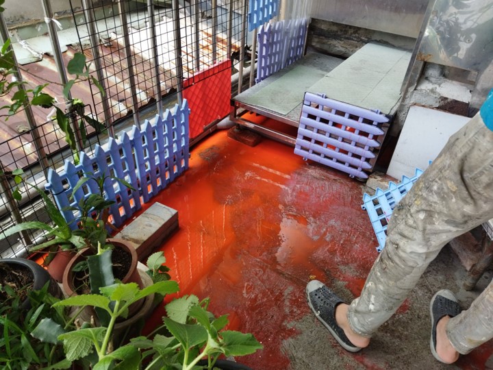 2樓露台淹水測試 2樓露台淹水測試