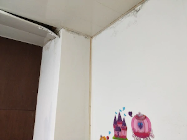漏水水痕 漏水水痕